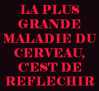cerveau.gif
